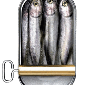 Sardine